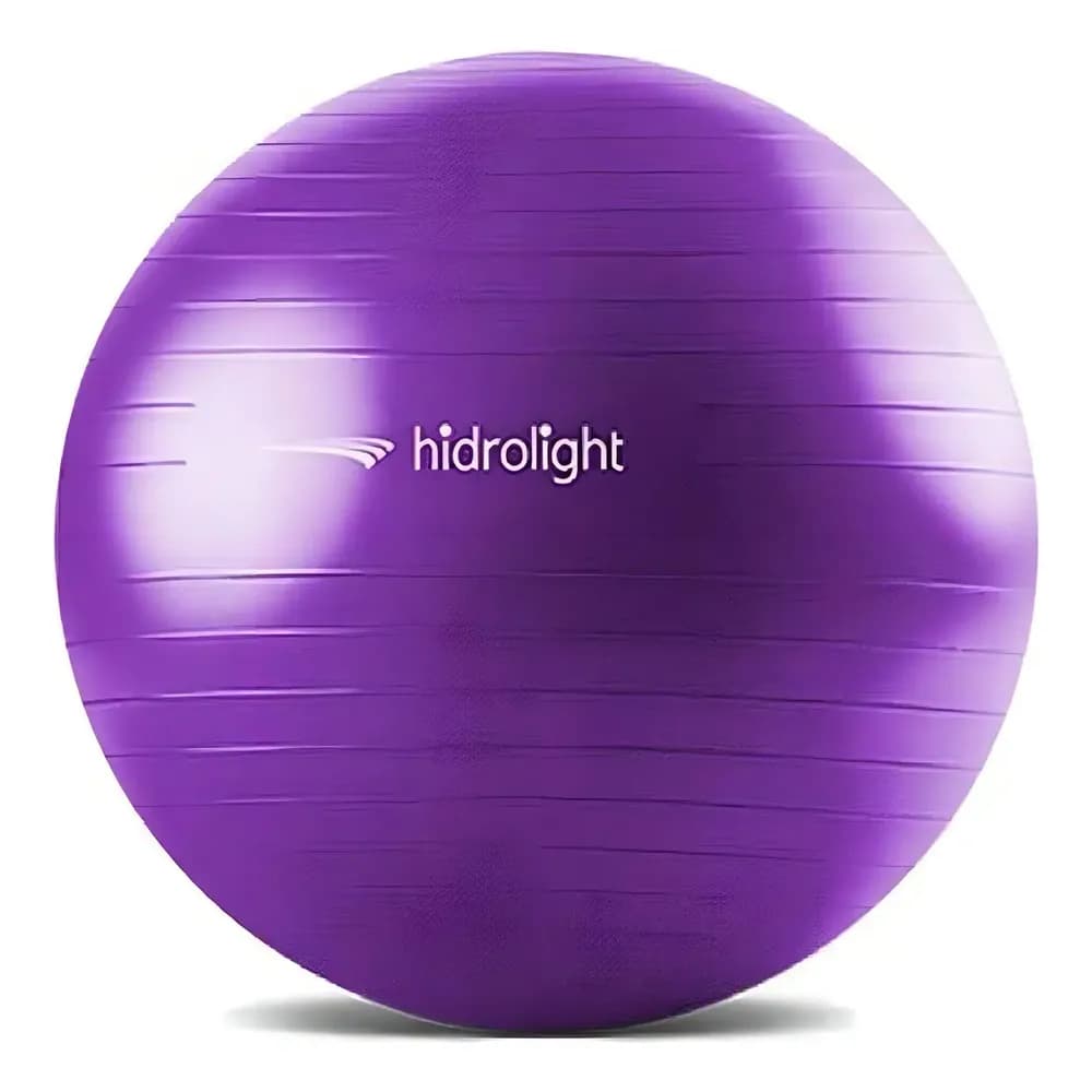 Bola de exercícios Roxa 65 cm